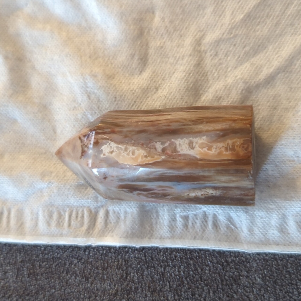 Petrified wood crystal